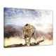 Luipaarden canvas - Foto print op canvas
