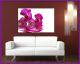 Canvas print Lila Orchideen