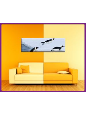 Foto print op canvas Panorama Pinguin