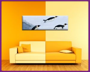 Foto print op canvas Panorama Pinguin