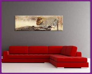 Foto print op canvas Panorama Luipaarden canvas