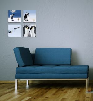 Pinguin Set - per stuk 20x20 cm
