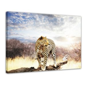 Luipaarden canvas - Foto print op canvas