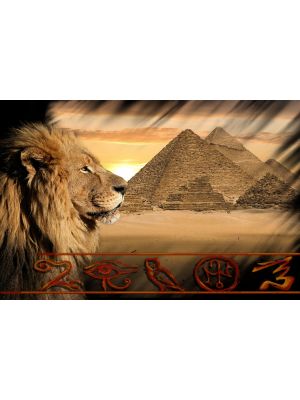 Fotobehang Leeuw en piramide